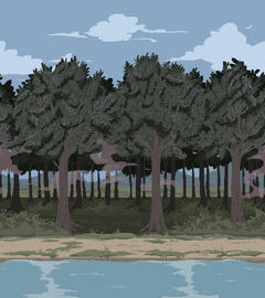 Exterior BG